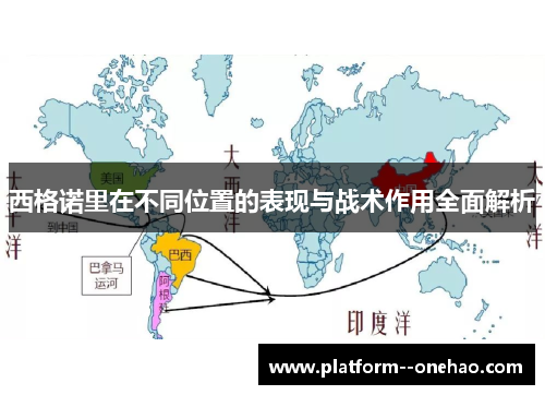 西格诺里在不同位置的表现与战术作用全面解析