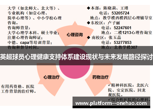 英超球员心理健康支持体系建设现状与未来发展路径探讨