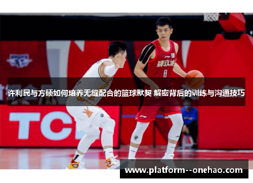许利民与方硕如何培养无缝配合的篮球默契 解密背后的训练与沟通技巧