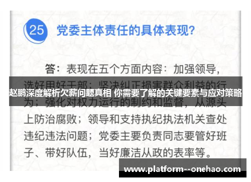 赵鹏深度解析欠薪问题真相 你需要了解的关键要素与应对策略