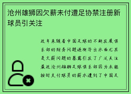 沧州雄狮因欠薪未付遭足协禁注册新球员引关注 沧州雄狮因欠薪未付遭足协禁注册新球员引关注